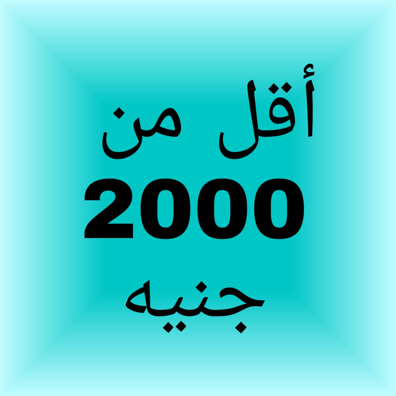 صورة 4