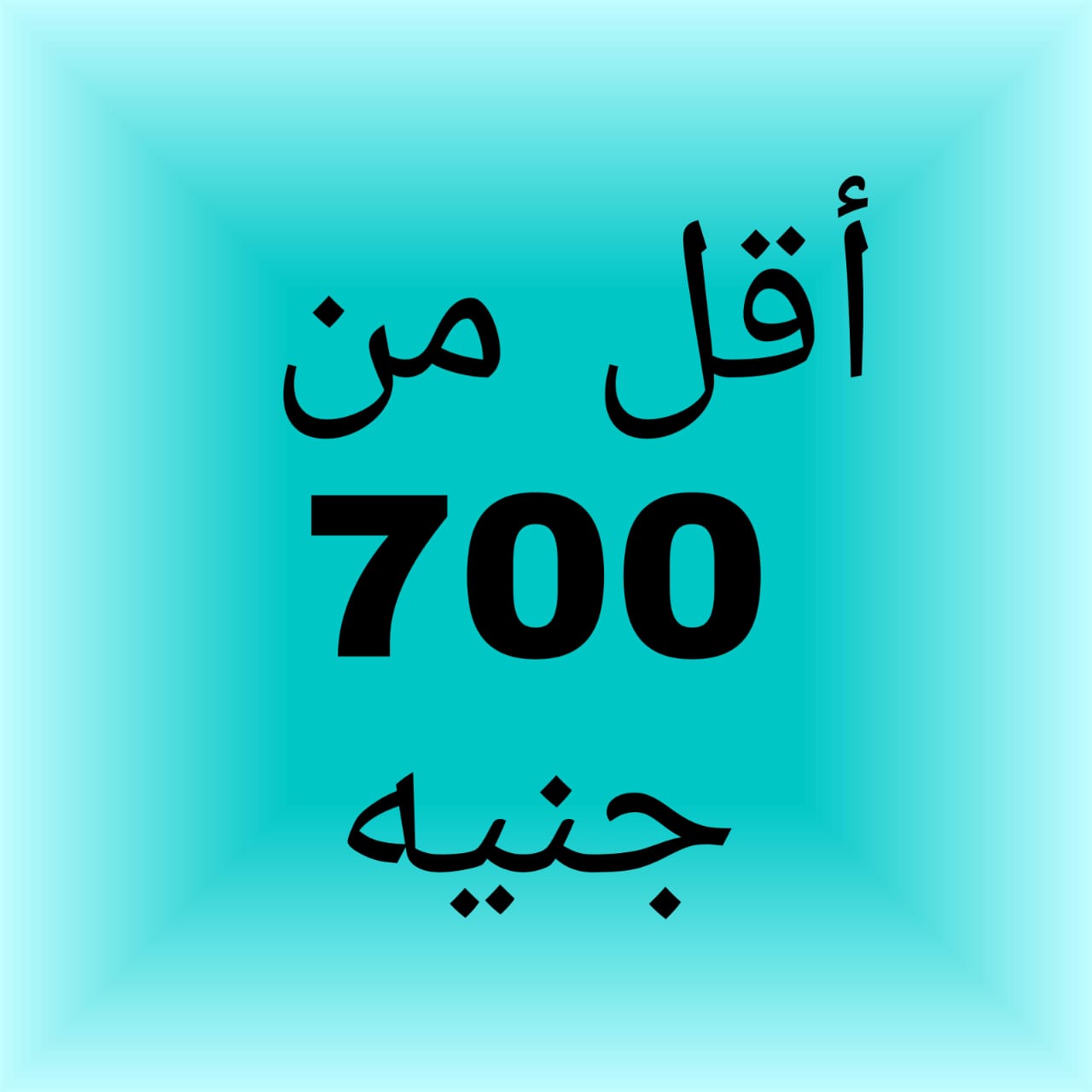 صورة 3
